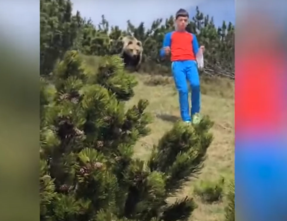 Učimo od najmlađih: Dečak preživeo susret sa medvedom! (VIDEO)